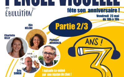 S06-E12-Les 3 ans du Podcast-Partie (2/3)